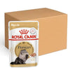 Royal Canin Persian Adult Wet Food