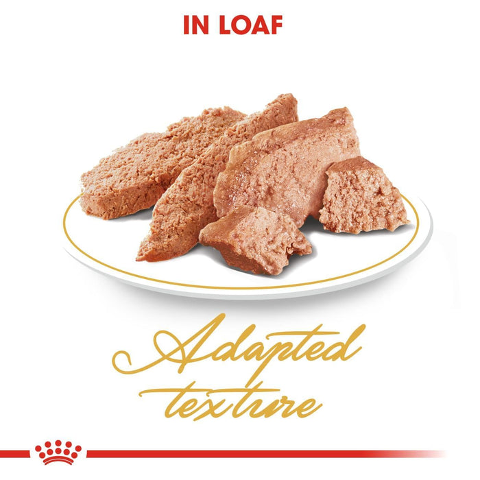 Royal Canin Persian Adult Cat Wet Food