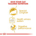 Royal Canin Wet Food for Persian Adult Cats
