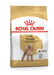 Royal Canin Poodle Adult Dog Food