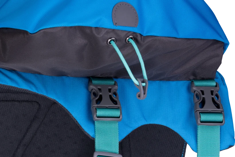 Ruffwear Approach Pack for Dog