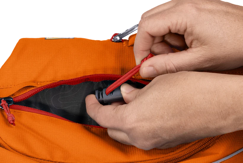 Ruffwear Approach Pack for Dog
