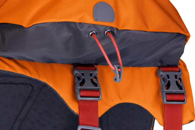 Ruffwear Approach Pack for Dog