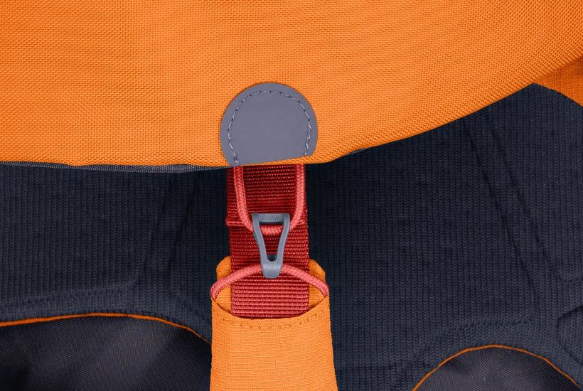 Ruffwear Approach Pack for Dog