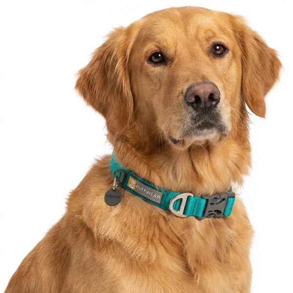 Ruffwear Front Range Dog Collar
