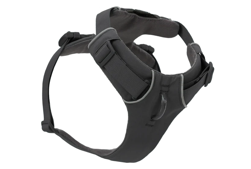 Front Range Harness for Dog