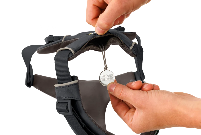 Front Range Harness for Dog