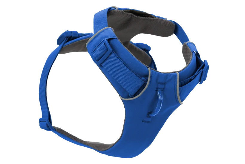 Front Range Harness for Dog
