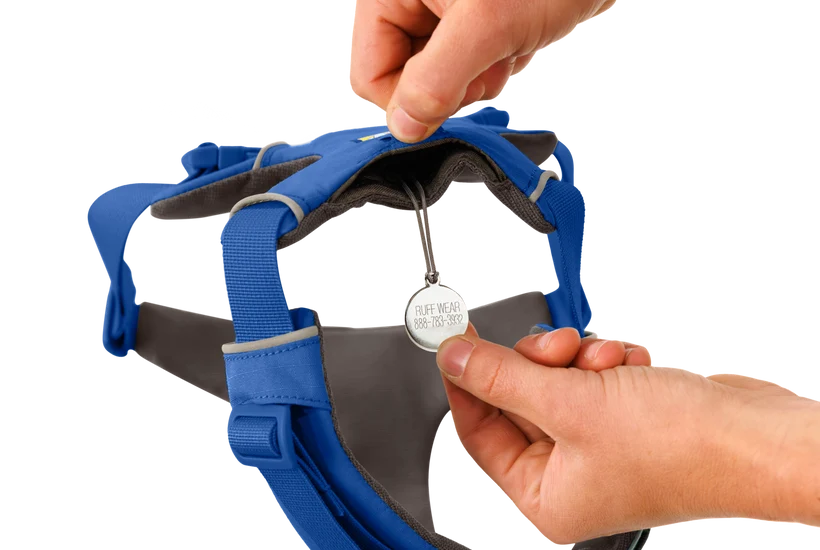 Front Range Harness for Dog