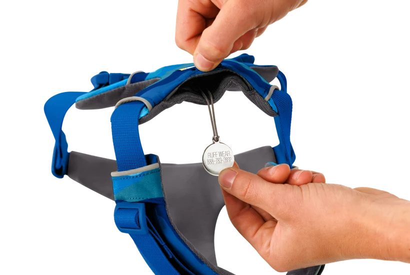 Front Range Harness for Dog