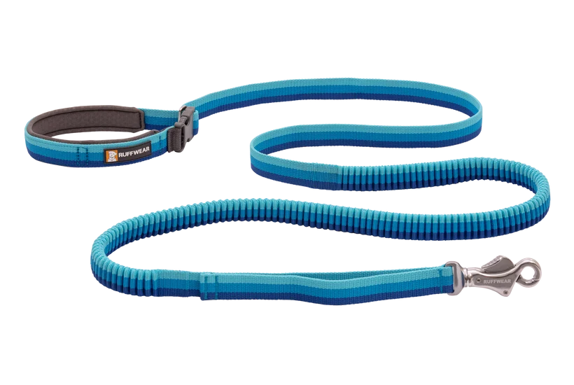 Ruffwear Roamer Bungee Leash for Dog