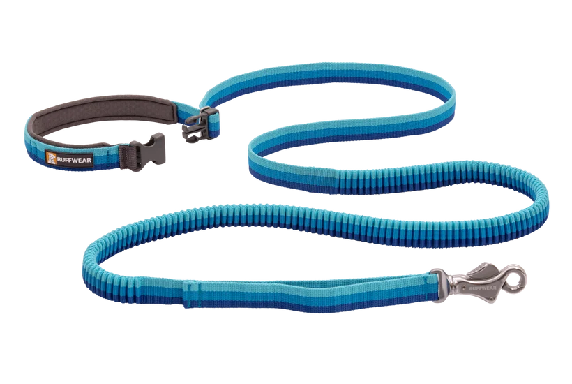 Ruffwear Roamer Bungee Leash for Dog