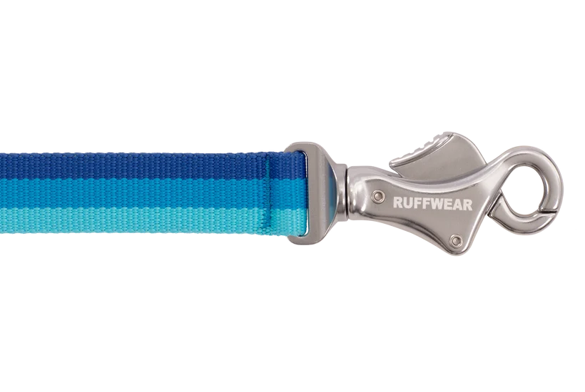 Ruffwear Roamer Bungee Leash for Dog