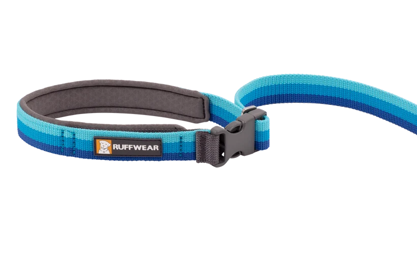 Ruffwear Roamer Bungee Leash for Dog