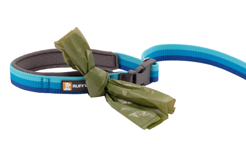Ruffwear Roamer Bungee Leash for Dog