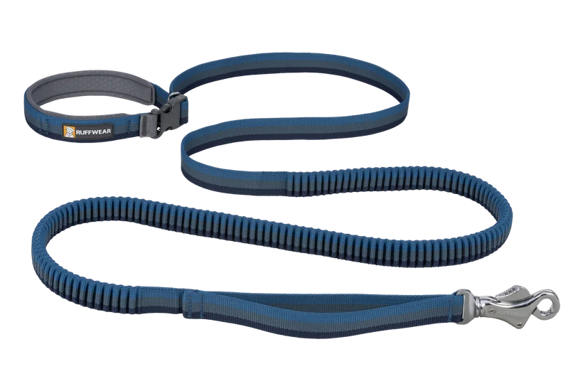 Ruffwear Roamer Bungee Leash for Dog