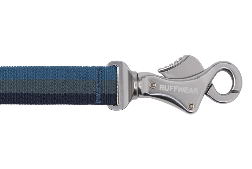Ruffwear Roamer Bungee Leash for Dog