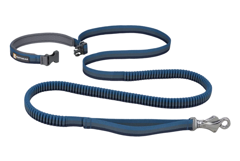 Ruffwear Roamer Bungee Leash for Dog