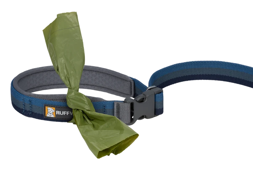 Ruffwear Roamer Bungee Leash for Dog
