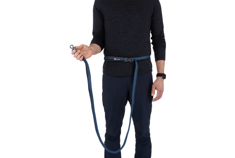 Ruffwear Roamer Bungee Leash for Dog