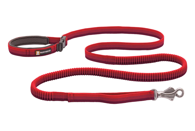 Ruffwear Roamer Bungee Leash for Dog