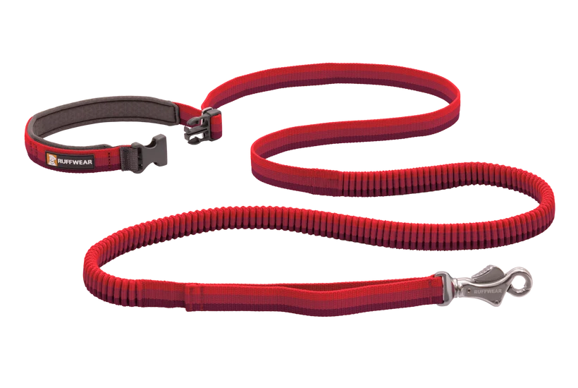 Ruffwear Roamer Bungee Leash for Dog