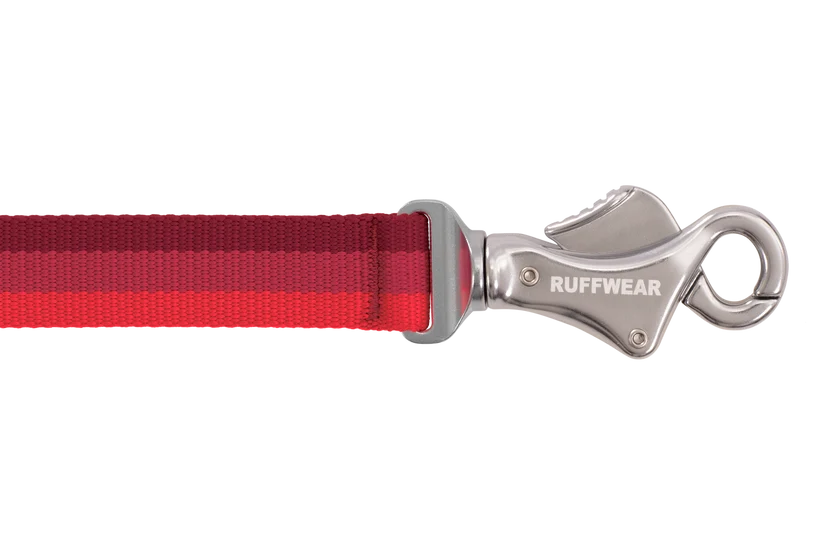 Ruffwear Roamer Bungee Leash for Dog