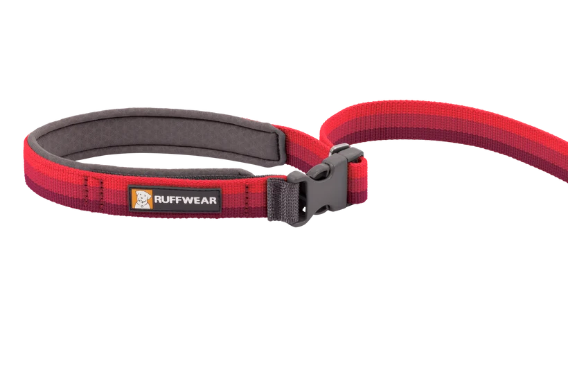 Ruffwear Roamer Bungee Leash for Dog