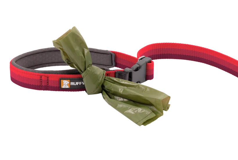 Ruffwear Roamer Bungee Leash for Dog