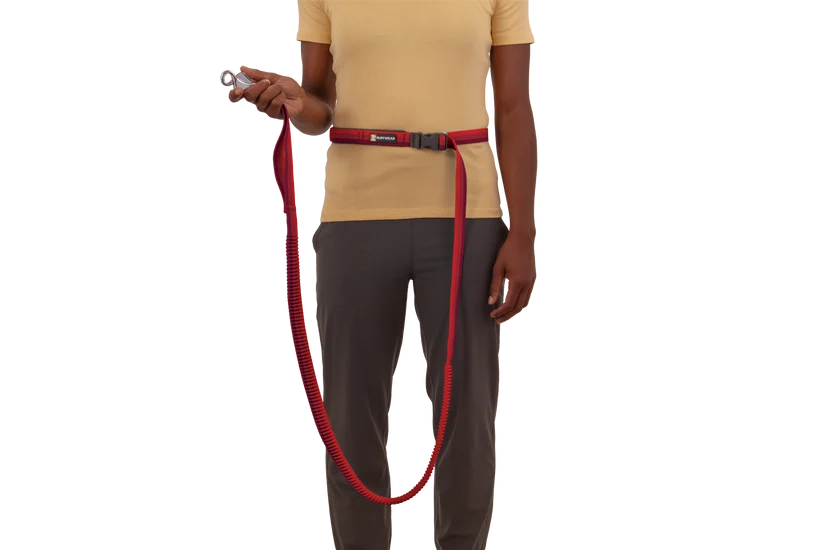Ruffwear Roamer Bungee Leash for Dog
