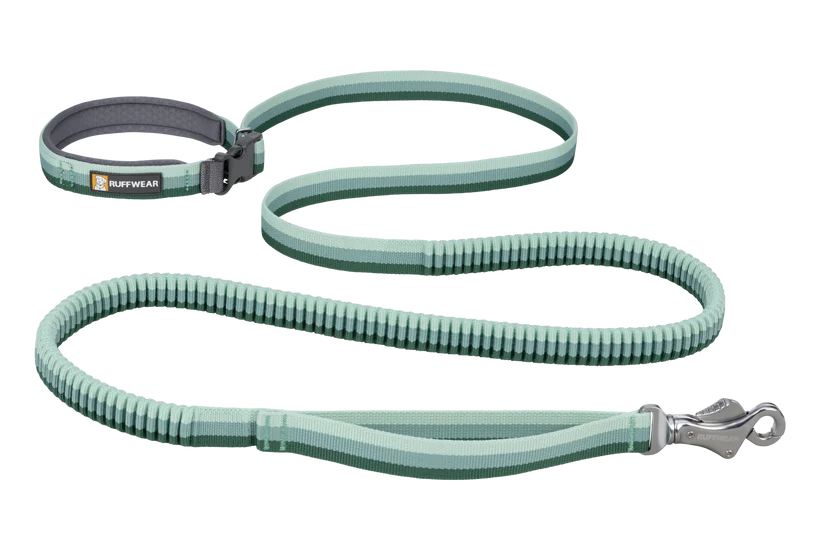 Ruffwear Roamer Bungee Leash for Dog