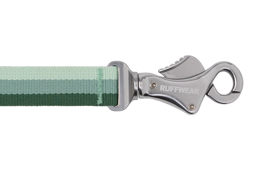 Ruffwear Roamer Bungee Leash for Dog