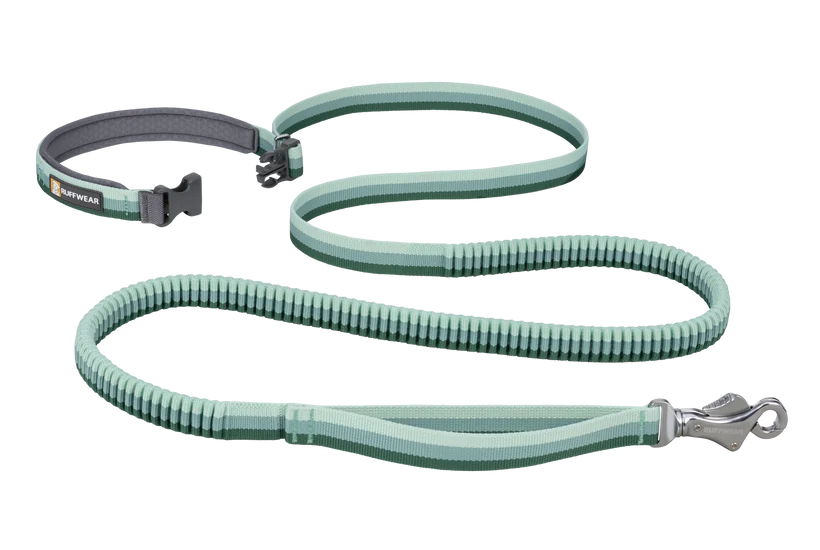 Ruffwear Roamer Bungee Leash for Dog