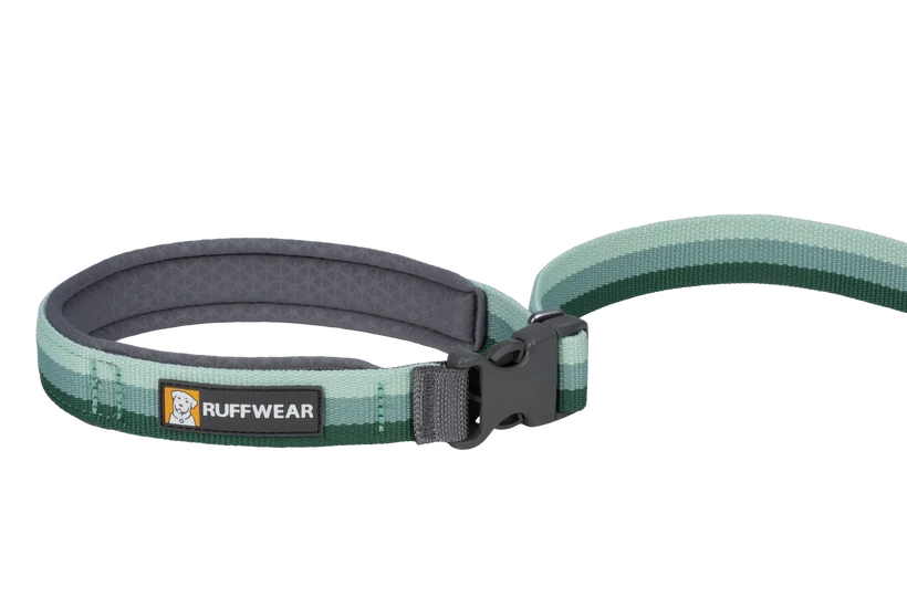 Ruffwear Roamer Bungee Leash for Dog