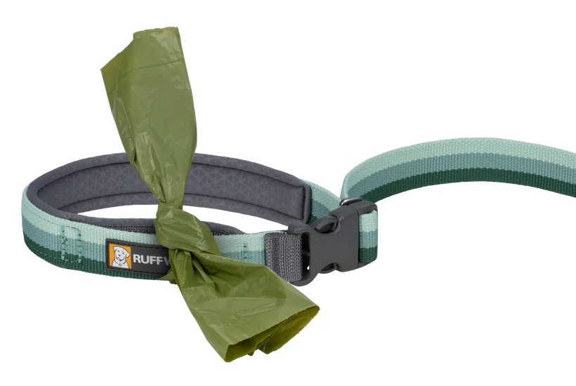 Ruffwear Roamer Bungee Leash for Dog
