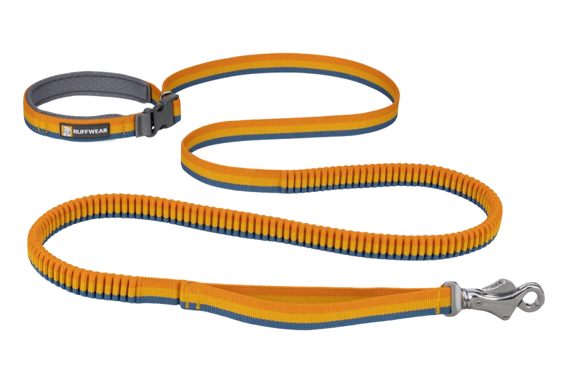 Ruffwear Roamer Bungee Leash for Dog