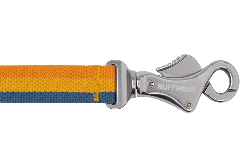 Ruffwear Roamer Bungee Leash for Dog