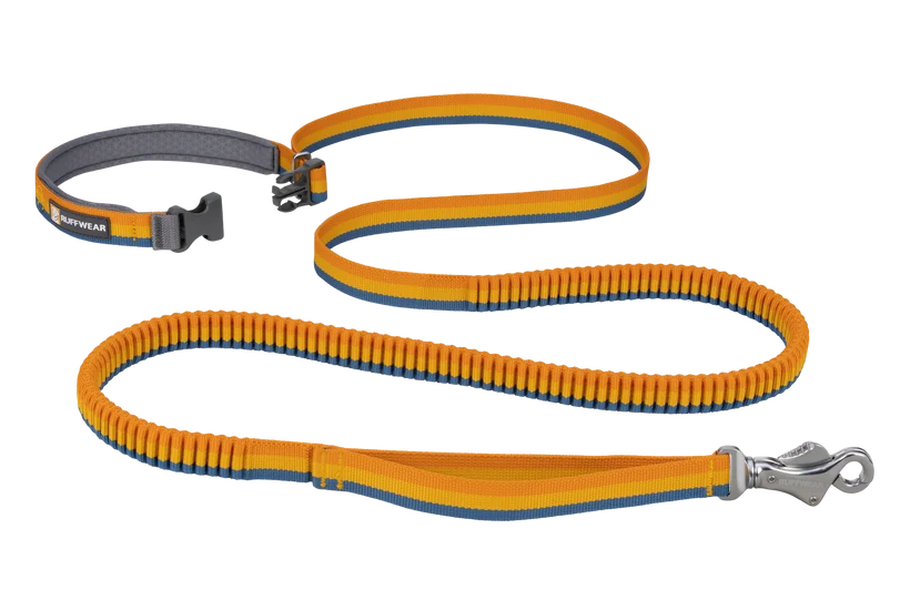 Ruffwear Roamer Bungee Leash for Dog