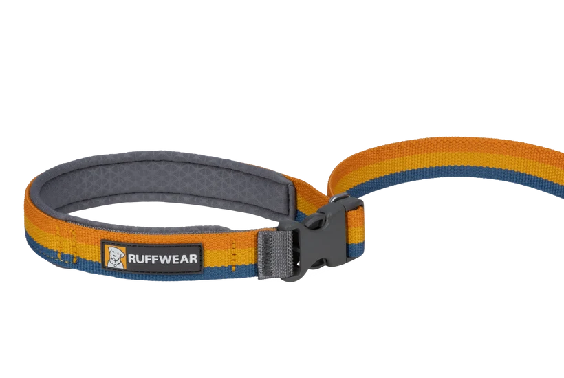 Ruffwear Roamer Bungee Leash for Dog