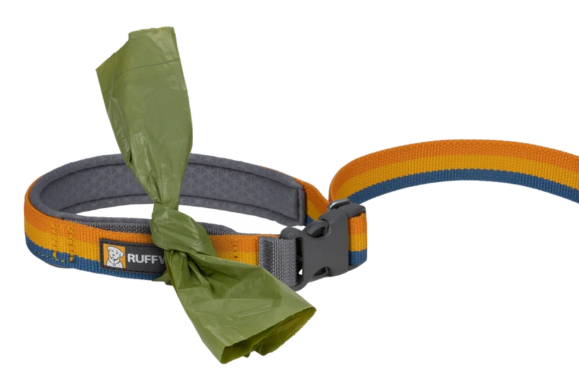 Ruffwear Roamer Bungee Leash for Dog