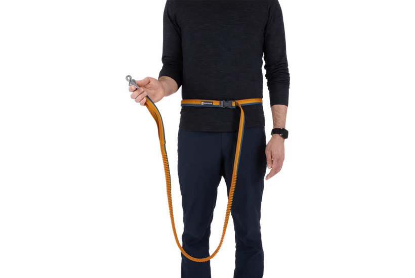 Ruffwear Roamer Bungee Leash for Dog