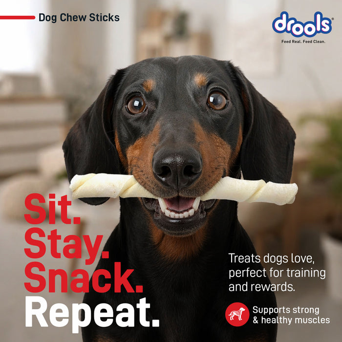 Drools Chicken Liver Sticks Treats for Dog