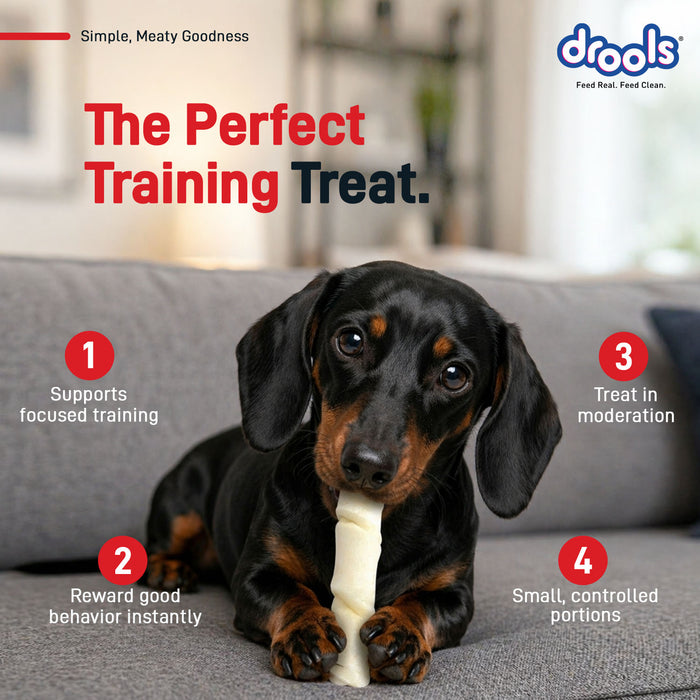 Drools Chicken Liver Sticks Treats for Dog