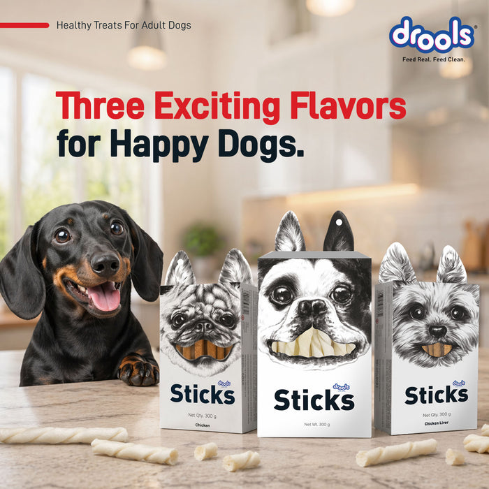 Drools Chicken Liver Sticks Treats for Dog