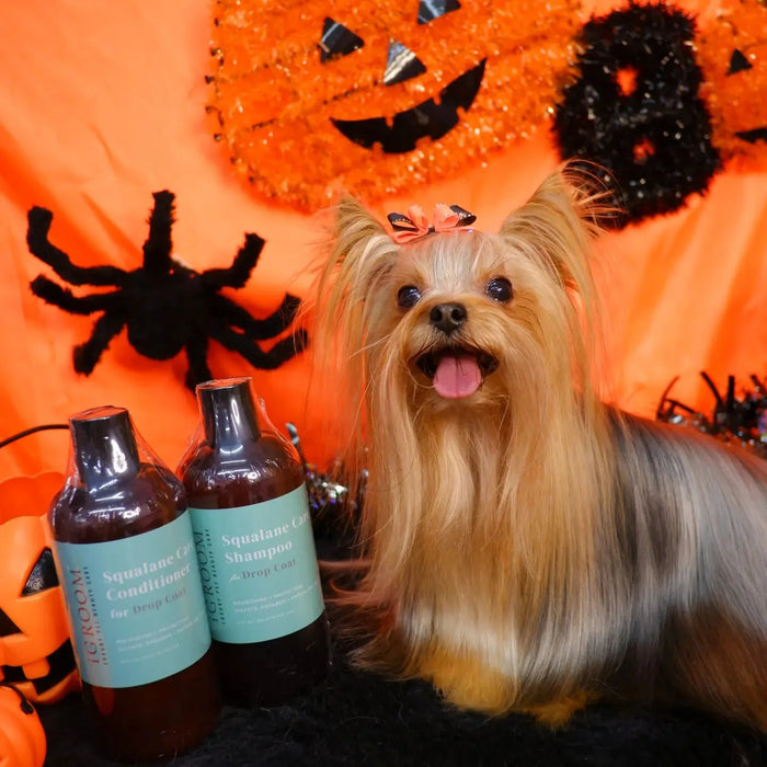 iGroom Squalane Care Pet Shampoo