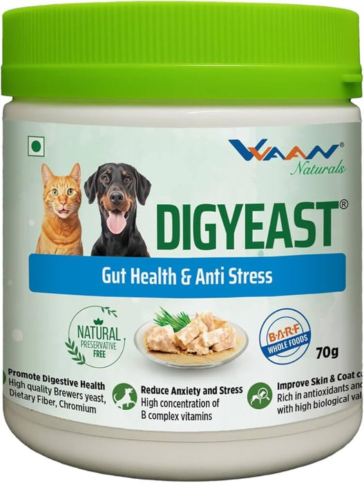 Vvaan Digyeast Gut Health and Anti Stress Supplementary Food for Dogs and Cats