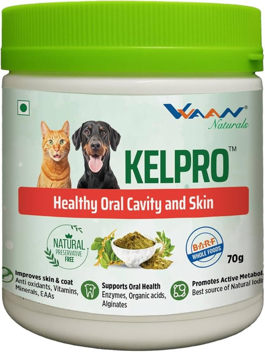 Vvaan Kelpro Skin and Teeth Care Supplementary Food for Dogs and Cats