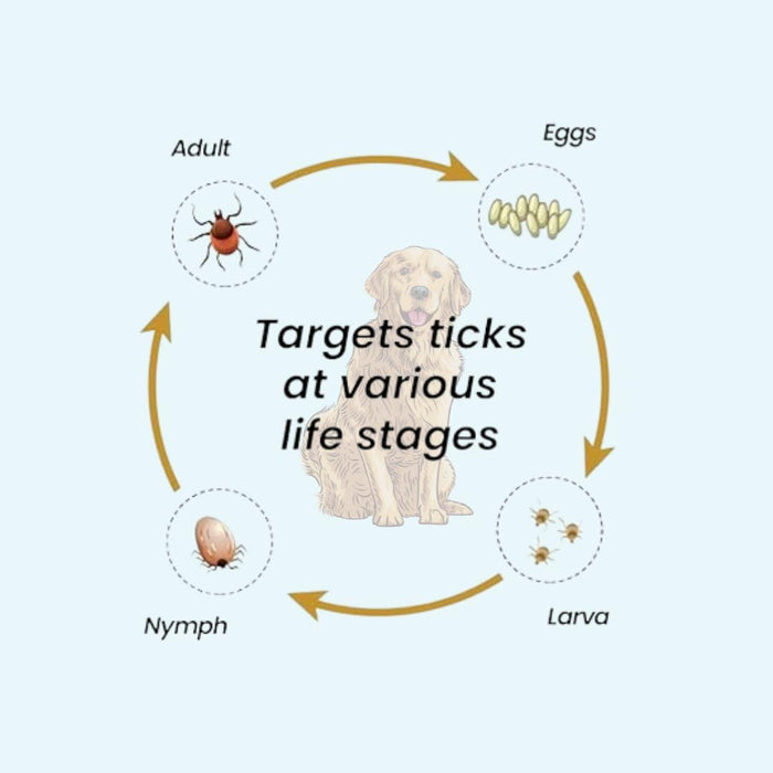 Ayurvet Zerokeet Ectoparasite Tick and Flea Control for Dogs - Ofypets