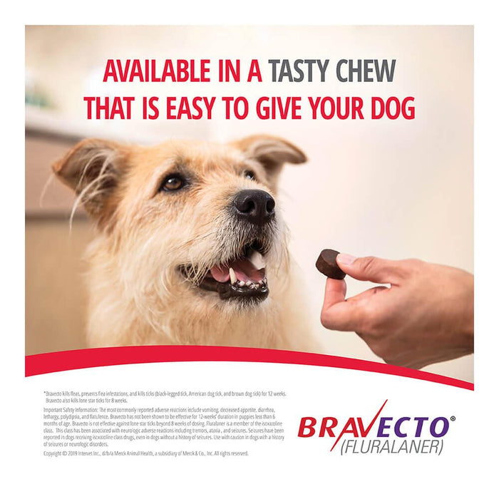 Bravecto Tick and Fleas Removal Chewable Tablet for Dogs (Fluralaner) - Ofypets