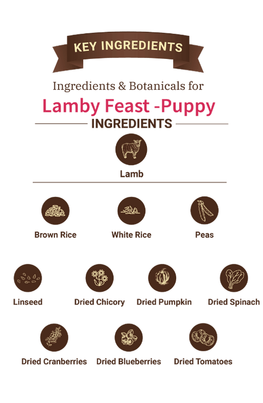 Brunos Wild Essentials Lamb Feast Low Grain Puppy Food - Ofypets